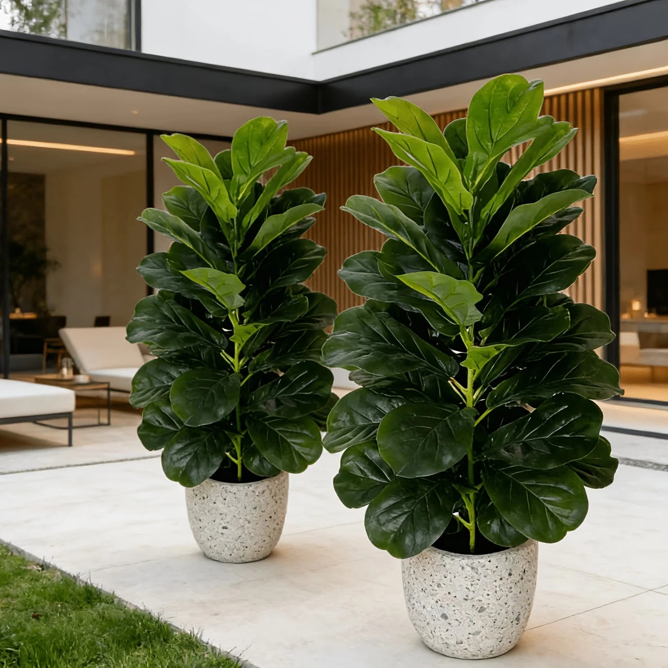 Fiddle Leaf Fig Tree in Geometric Pot for Indoor Decor
