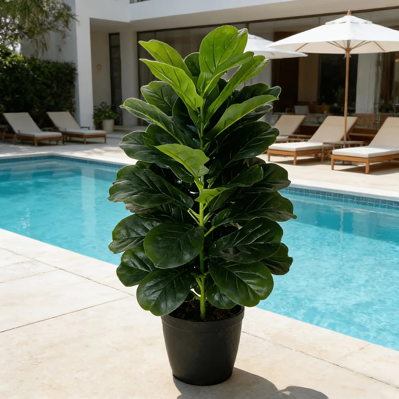 Fiddle Leaf Fig Tree in Geometric Pot for Indoor Decor