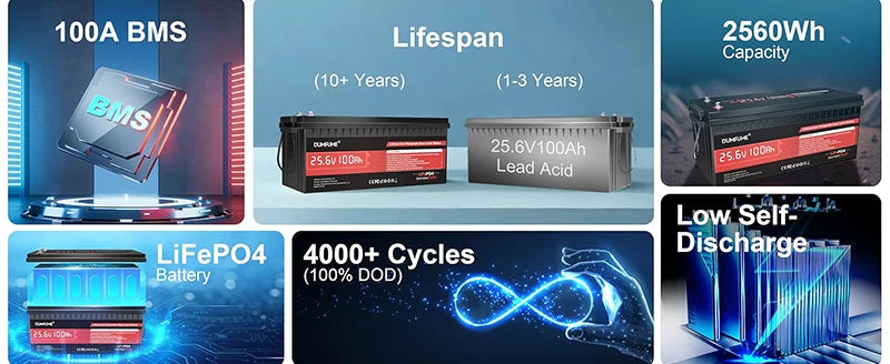 Dumfume 12V 100Ah LiFePO4 Battery With 100A BMS System