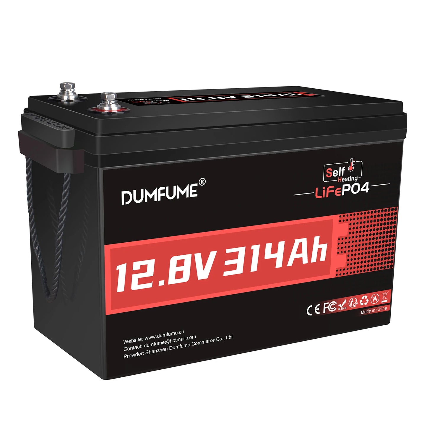 Dumfume 12V 100Ah LiFePO4 Battery With 100A BMS System