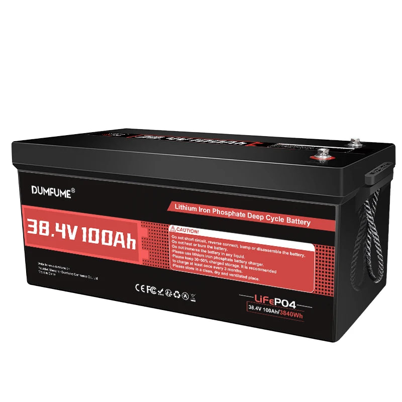 Dumfume 12V 100Ah LiFePO4 Battery With 100A BMS System