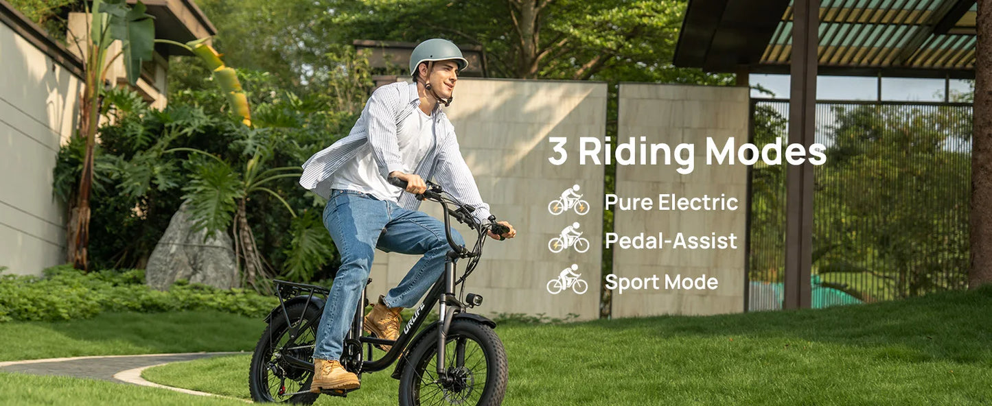 URLIFE 1000W E20 Electric Bike With Removable 48V Battery