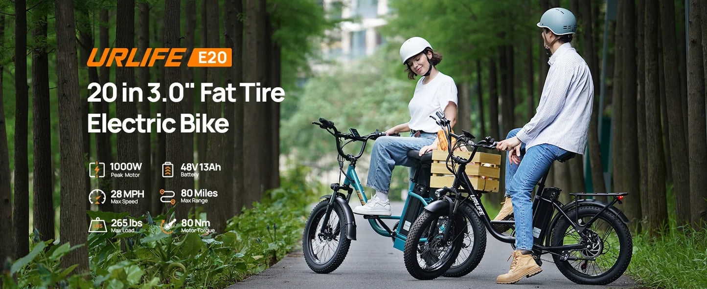 URLIFE 1000W E20 Electric Bike With Removable 48V Battery