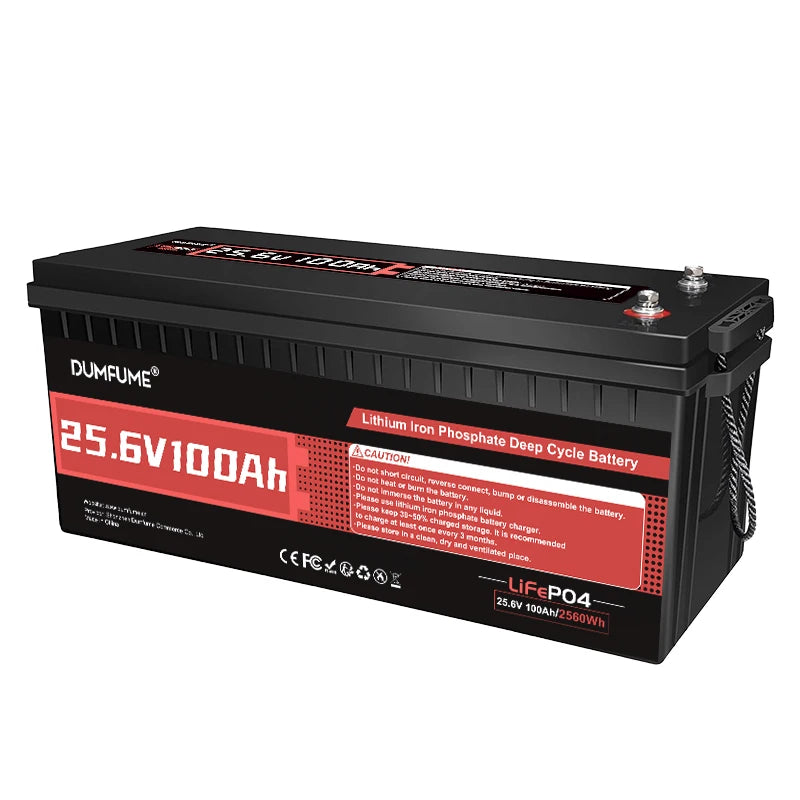 Dumfume 12V 100Ah LiFePO4 Battery With 100A BMS System