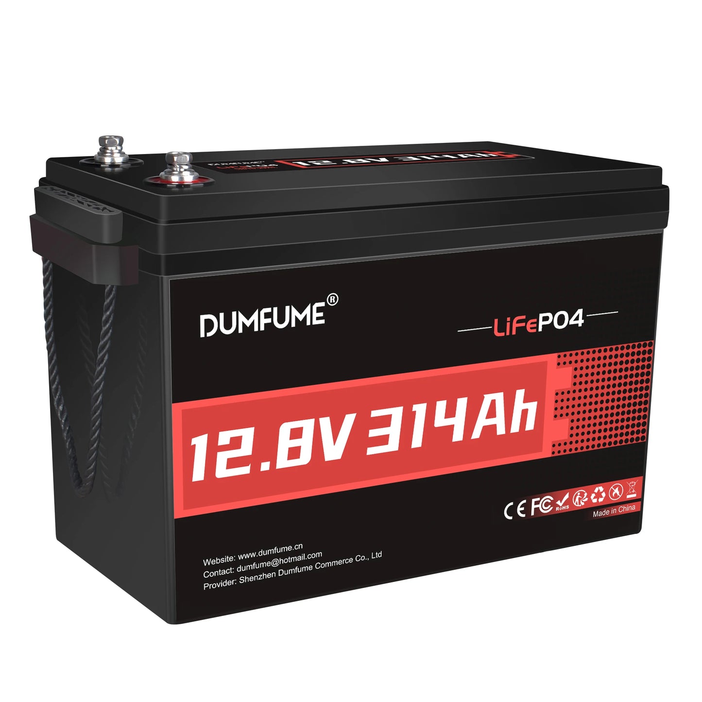 Dumfume 12V 100Ah LiFePO4 Battery With 100A BMS System