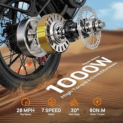 URLIFE 1000W E20 Electric Bike With Removable 48V Battery