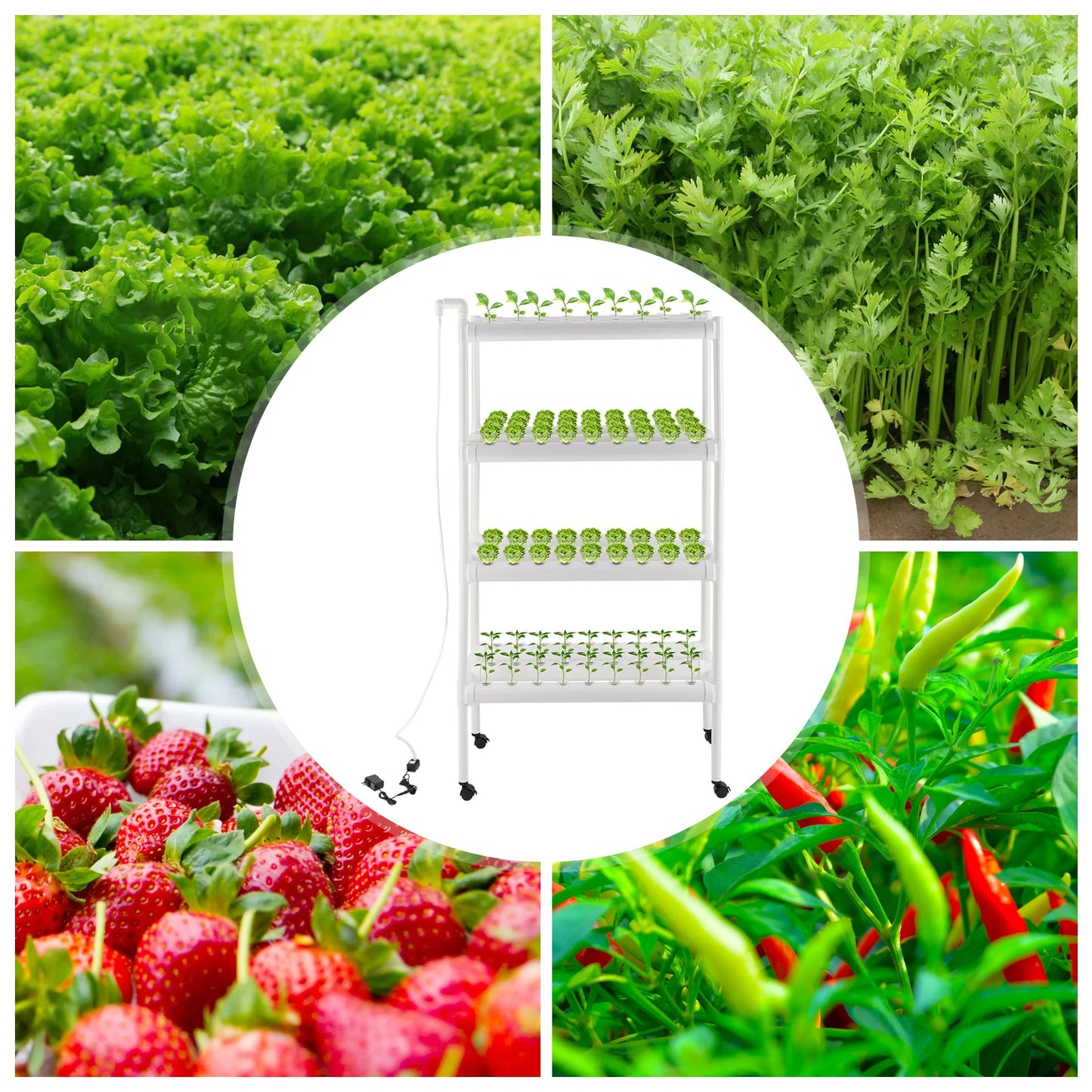 4 Tier Hydroponic Grow Kit With 108 Plant Sites