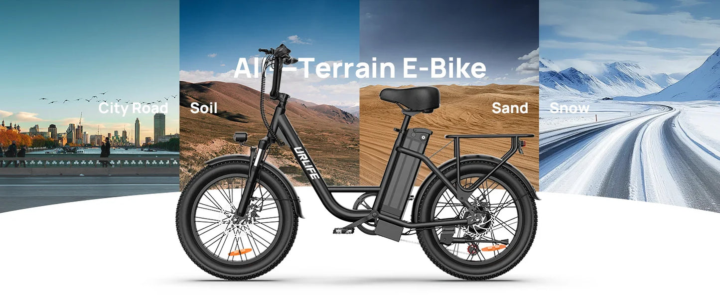 URLIFE 1000W E20 Electric Bike With Removable 48V Battery