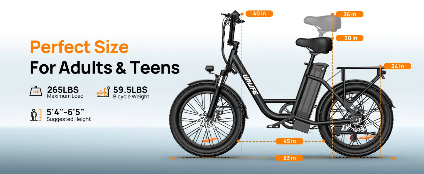 URLIFE 1000W E20 Electric Bike With Removable 48V Battery