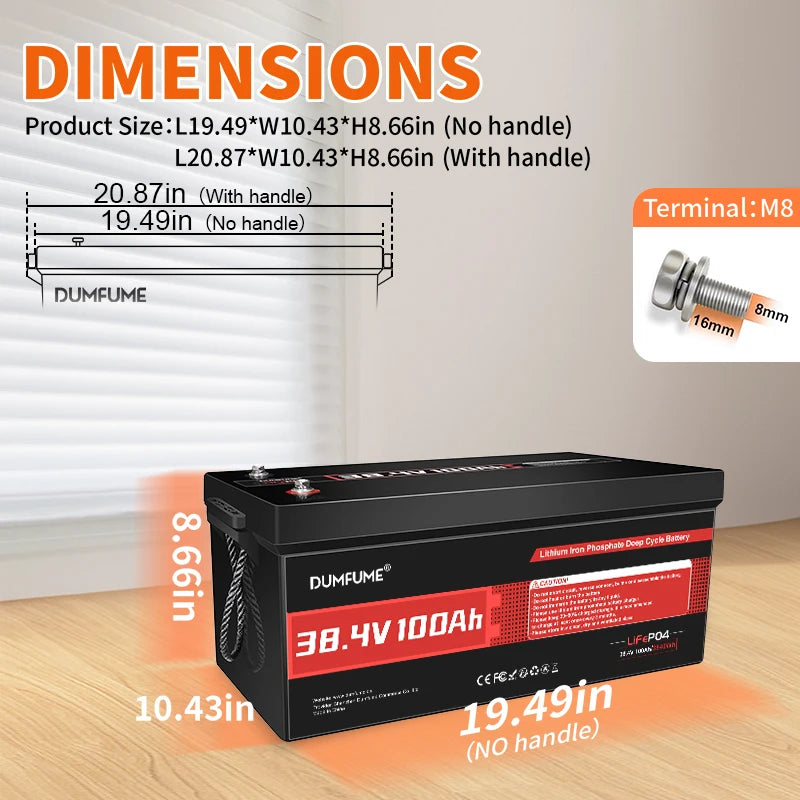 Dumfume 12V 100Ah LiFePO4 Battery With 100A BMS System
