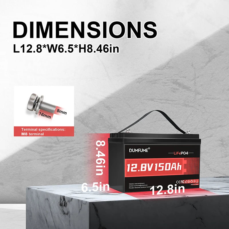 Dumfume 12V 100Ah LiFePO4 Battery With 100A BMS System