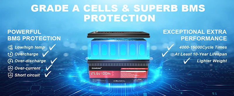 Dumfume 12V 100Ah LiFePO4 Battery With 100A BMS System