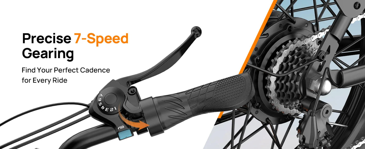 URLIFE 1000W E20 Electric Bike With Removable 48V Battery