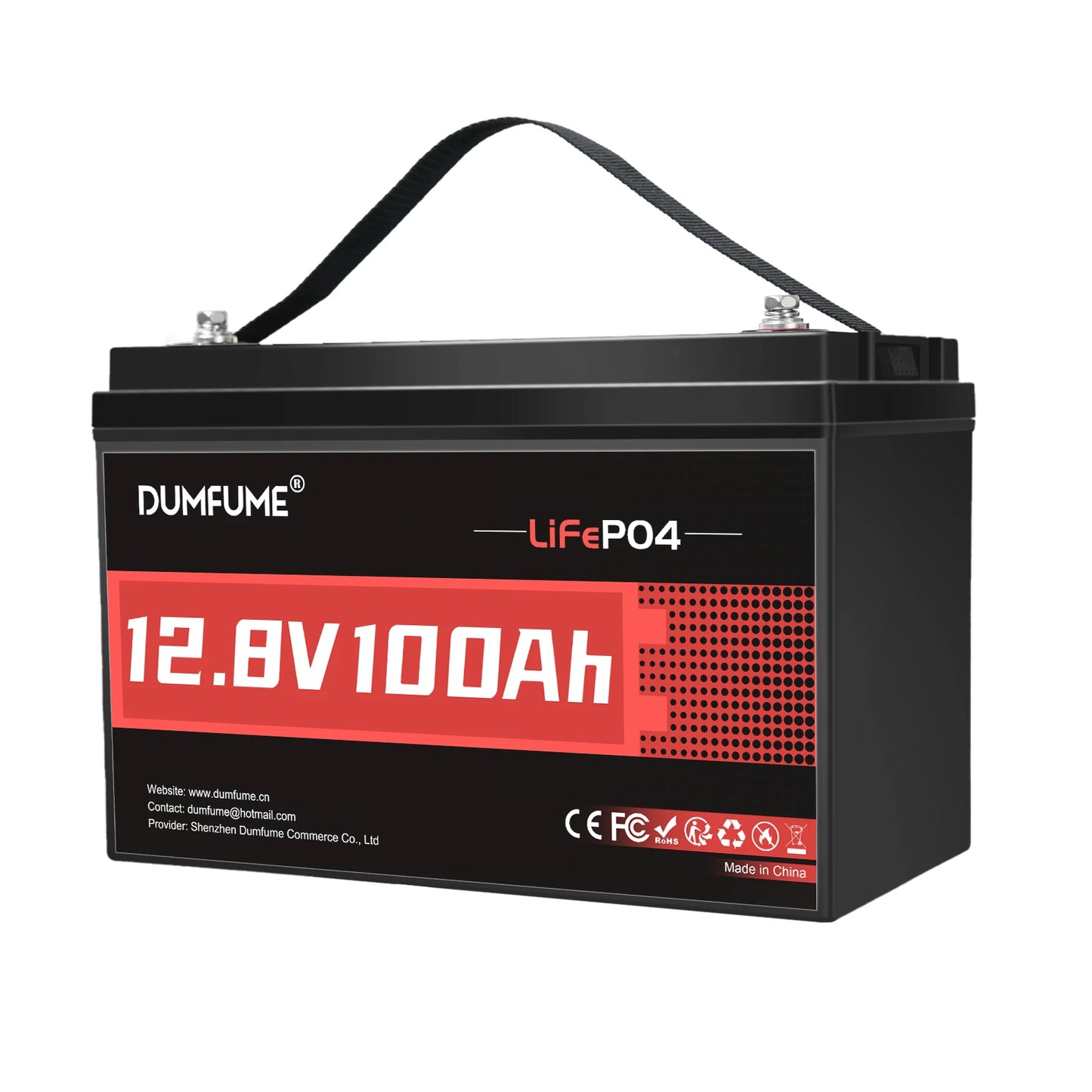 Dumfume 12V 100Ah LiFePO4 Battery With 100A BMS System