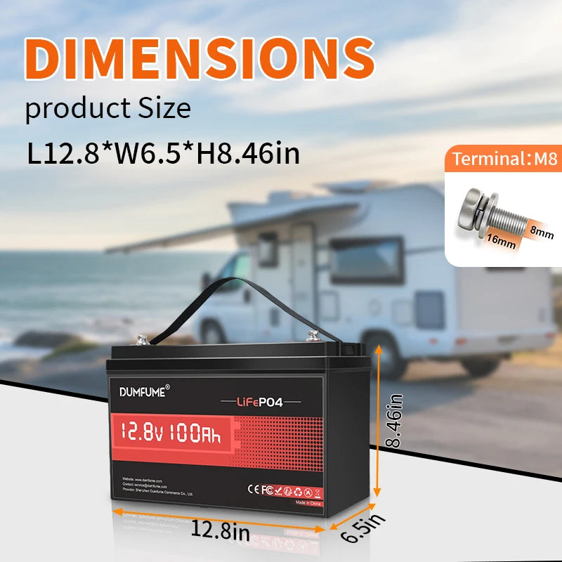 Dumfume 12V 100Ah LiFePO4 Battery With 100A BMS System