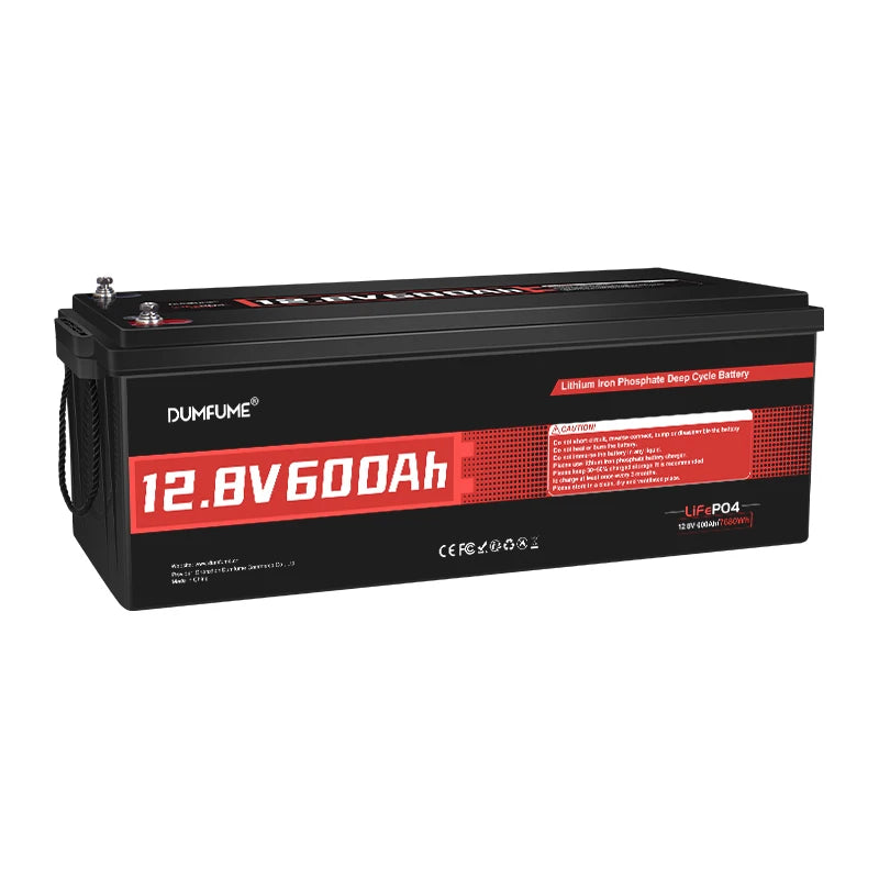 Dumfume 12V 100Ah LiFePO4 Battery With 100A BMS System