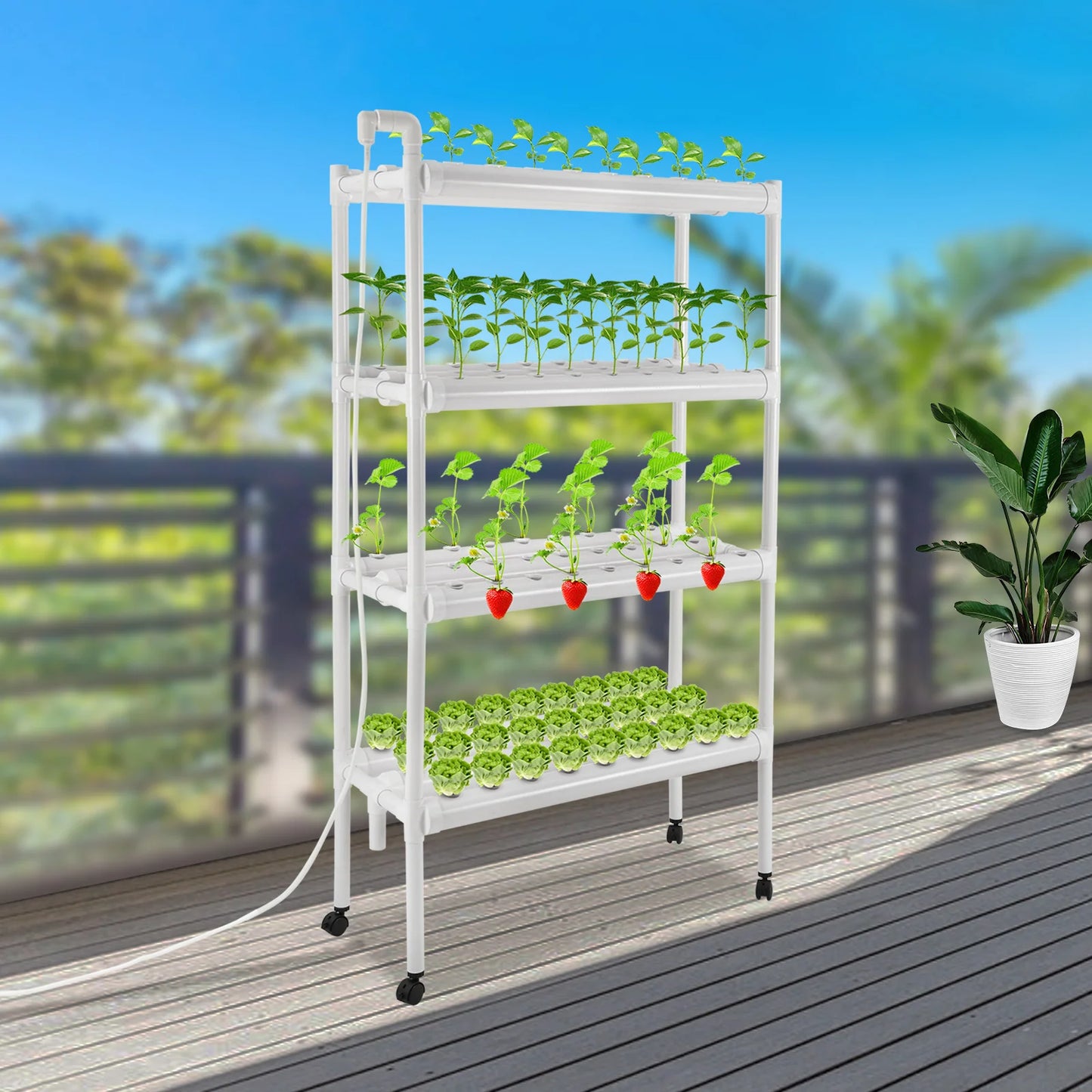 4 Tier Hydroponic Grow Kit With 108 Plant Sites