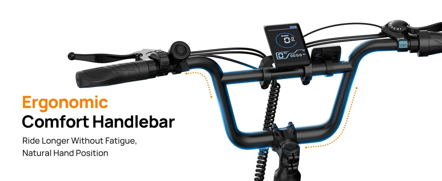 URLIFE 1000W E20 Electric Bike With Removable 48V Battery