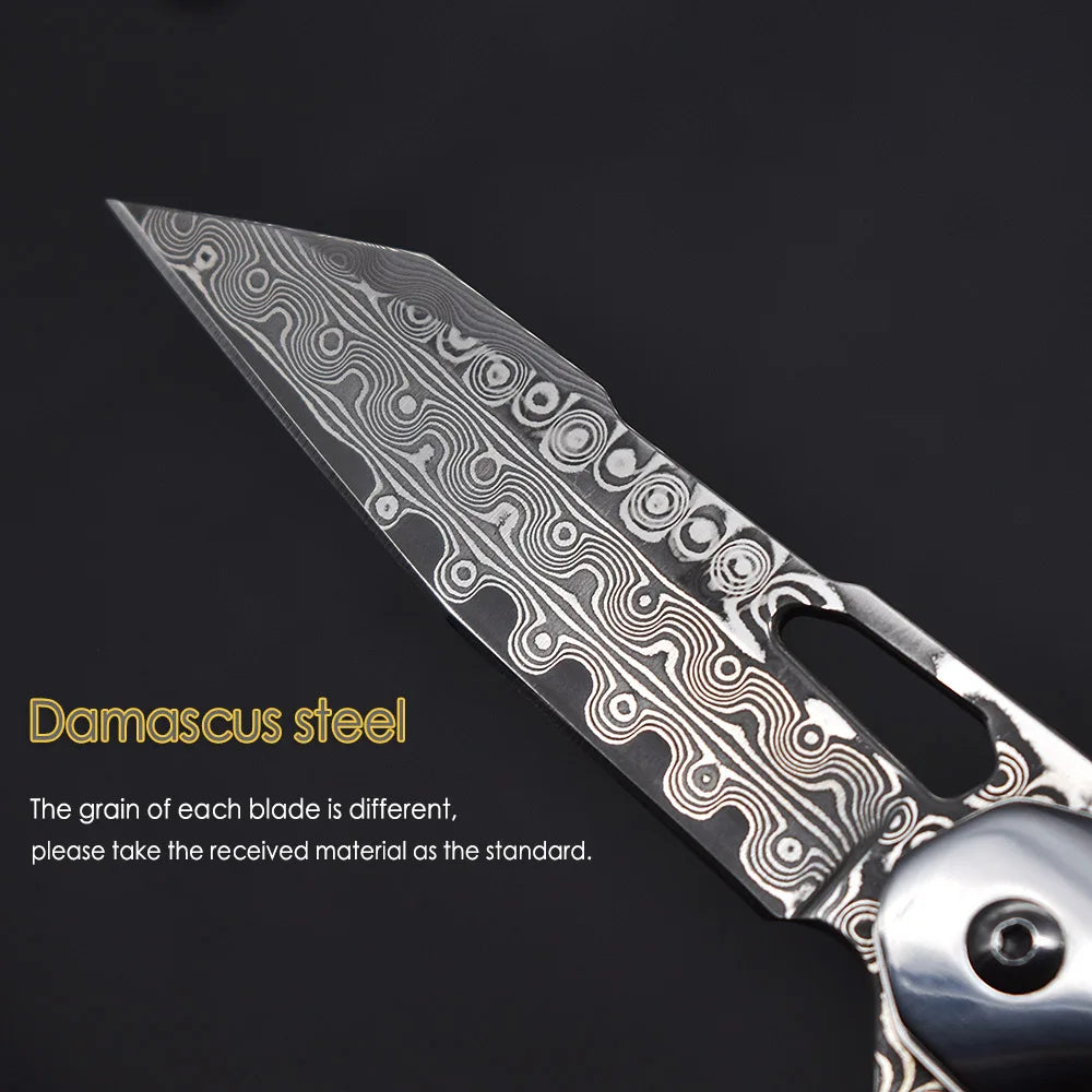 Blackdragon Damascus Steel Folding Knife With G10 Handle