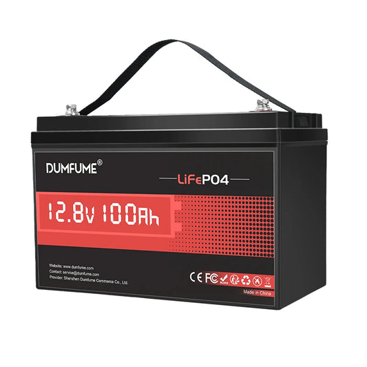 Dumfume 12V 100Ah LiFePO4 Battery With 100A BMS System